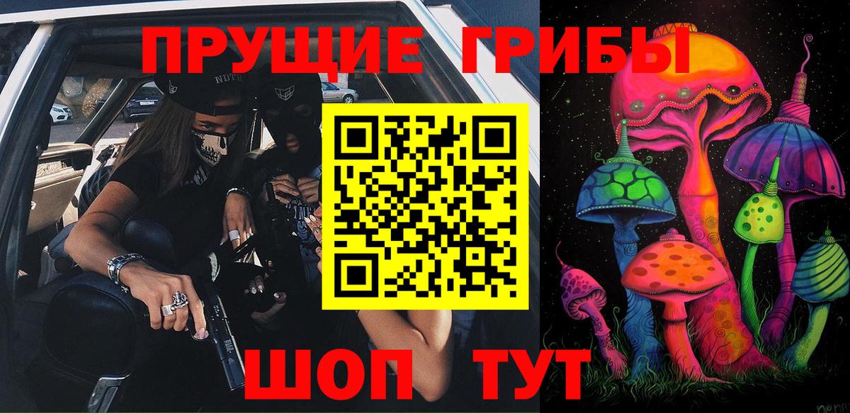 Псилоцибиновые грибы Cubensis Нижневартовск